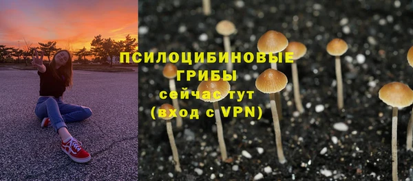 MESCALINE Богородицк