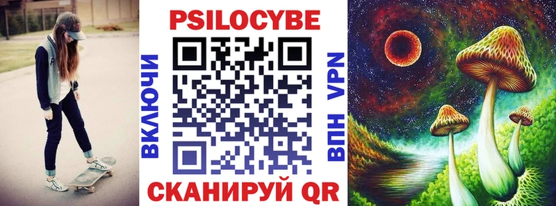 Галлюциногенные грибы Psilocybe  Купить где  Мариинский Посад 