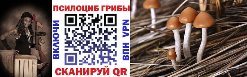 Галлюциногенные грибы Psilocybe Мариинский Посад